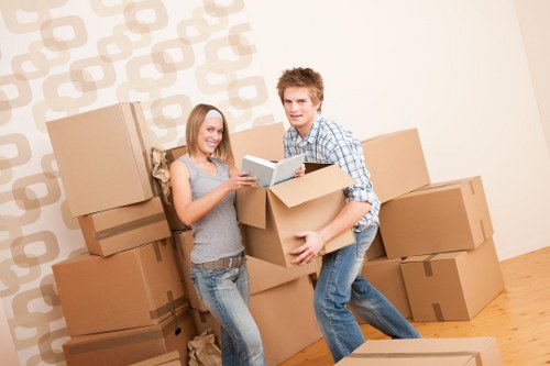 Organised packing materials and moving boxes for an Irish move